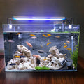 Rectangular Glass Aquarium — Small & Medium Displa